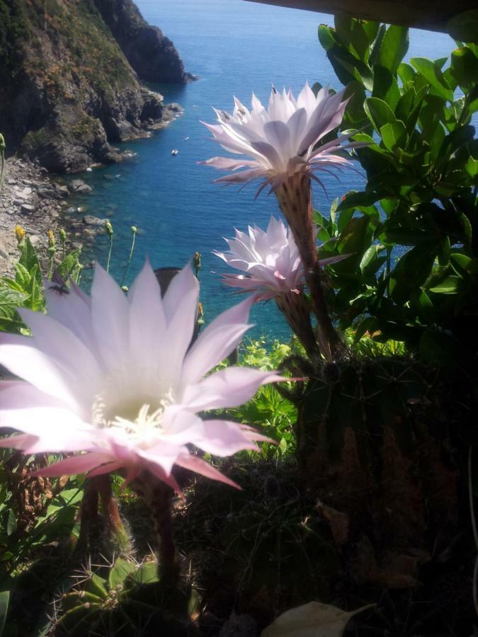 5 Terre For You Riomaggiore Esterno foto